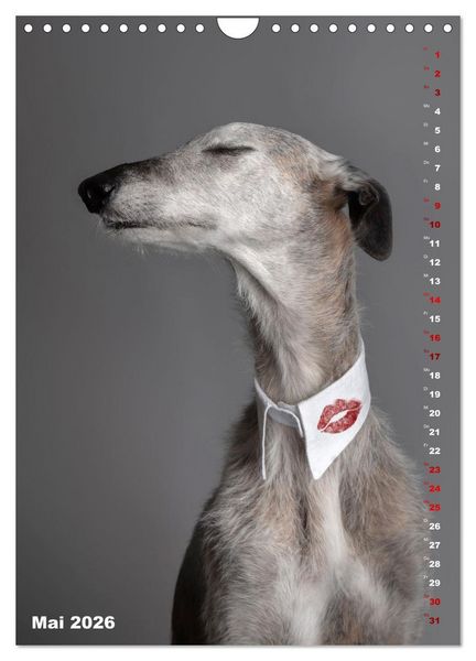 Produktbild: dogmuse deluxe (Wandkalender 2026 DIN A4 hoch), CALVENDO Monatskalender