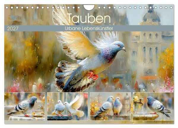 Produktbild: Tauben. Urbane Lebensk&uuml;nstler (Wandkalender 2027 DIN A4 quer), CALVENDO Monatskalender