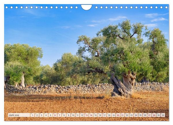 Produktbild: Faszinierendes Apulien (Wandkalender 2026 DIN A4 quer), CALVENDO Monatskalender