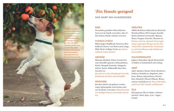 Produktbild: Gesund & lecker: Kochen f&uuml;r den Hund