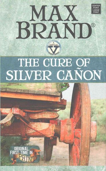 Produktbild: The Cure of Silver CA on