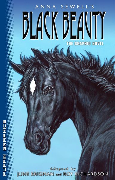 Produktbild: Puffin Graphics: Black Beauty