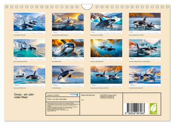 Produktbild: Orcas - ein Jahr voller Meer (Wandkalender 2027 DIN A4 quer), CALVENDO Monatskalender