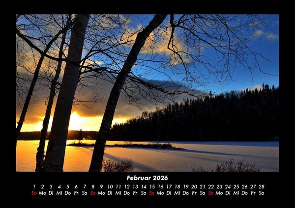 Produktbild: B&auml;ume 2026 Fotokalender DIN A3
