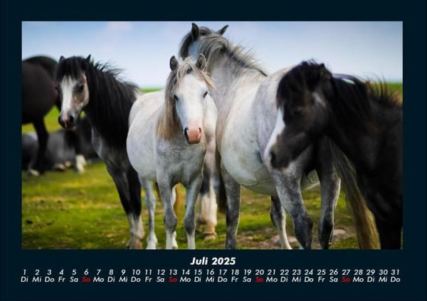 Produktbild: Die Welt der Pferde 2025 Fotokalender DIN A4