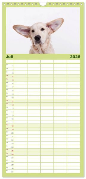 Produktbild: Familienplaner 2026 - SCHLAPPOHREN mit 5 Spalten (Wandkalender, 21 x 45 cm) CALVENDO