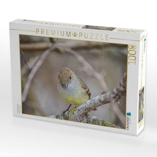 Produktbild: CALVENDO Puzzle Fliegenschn&auml;pper | 1000 Teile Lege-Gr&ouml;&szlig;e 64x48cm Foto-Puzzle f&uuml;r gl&uuml;ckliche Stunden