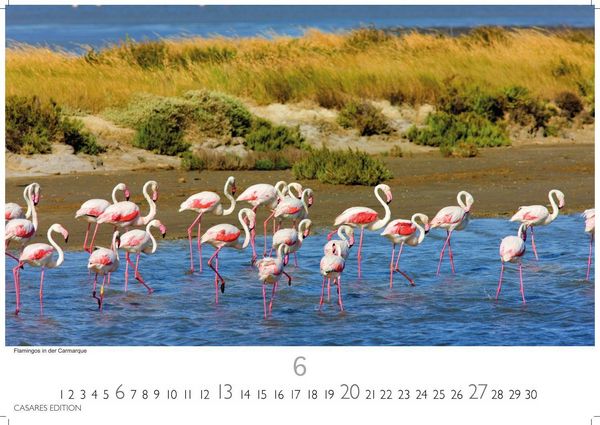 Produktbild: Provence Kalender 2027 &ndash; Wandkalender | Fotokalender Frankreich 35x50cm - Atemberaubende Landschaften, Bl&uuml;hende Lavendelfelder & Charmante D&ouml;rfer &ndash; Perfekter . f&uuml;r Natur- und Reiseliebhaber