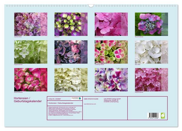 Produktbild: Hortensien / Geburtstagskalender (Wandkalender 2026 DIN A2 quer), CALVENDO Monatskalender