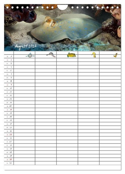 Produktbild: Der Unterwasser Familienplaner 2026 (Wandkalender 2026 DIN A4 hoch), CALVENDO Monatskalender