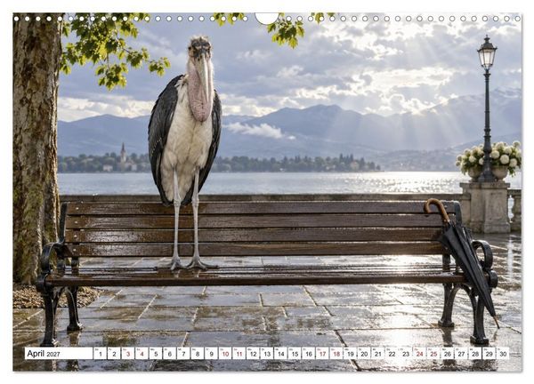 Produktbild: NICHT MEIN PROBLEM - Tiere mit Charakter (Wandkalender 2027 DIN A3 quer), CALVENDO Monatskalender