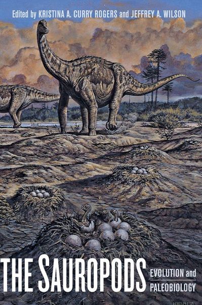 Produktbild: The Sauropods