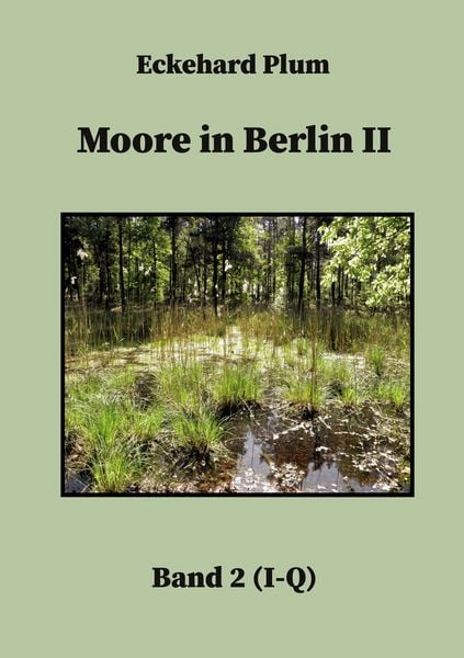 Produktbild: Moore in Berlin II