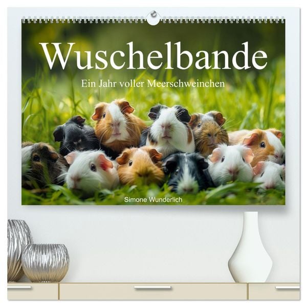 Wuschelbande - Ein Jahr voller Meerschweinchen (hochwertiger Premium Wandkalender 2025 DIN A2 quer), Kunstdruck in Hochg