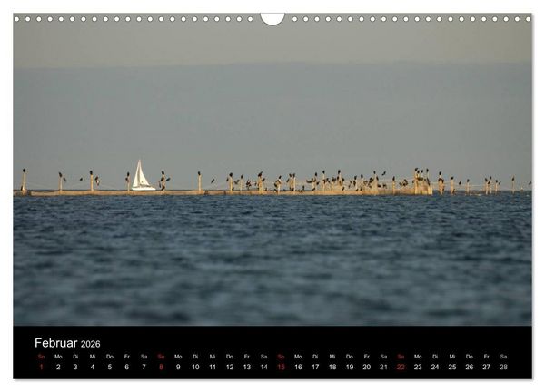 Produktbild: Wasserwandern in Mecklenburg-Vorpommern (Wandkalender 2026 DIN A3 quer), CALVENDO Monatskalender