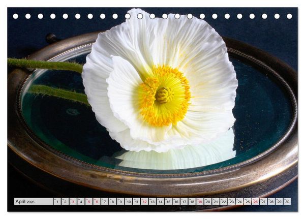 Produktbild: Prachtvolle Mohnbl&uuml;ten (Tischkalender 2026 DIN A5 quer), CALVENDO Monatskalender