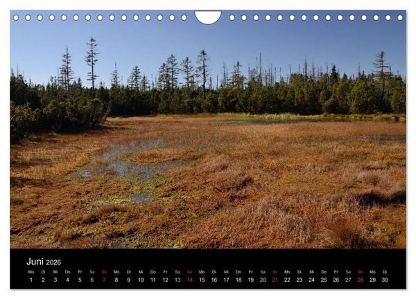 Produktbild: Zauberhafter Bayerischer Wald (Wandkalender 2026 DIN A4 quer), CALVENDO Monatskalender