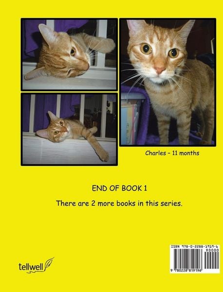 Produktbild: The Adventures of Charles The Cat With The Question Mark Tail