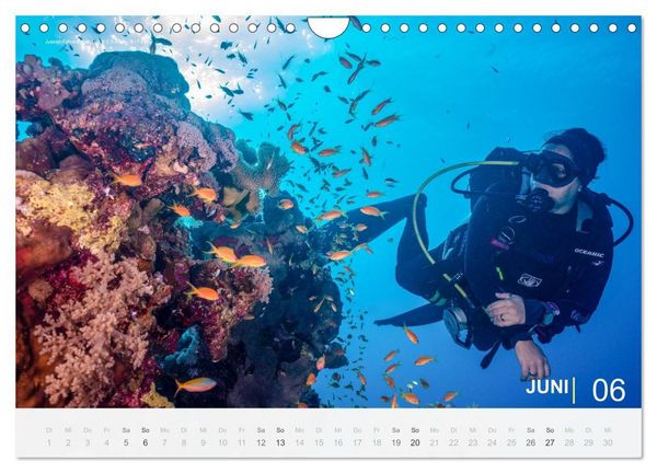Produktbild: Die sch&ouml;nsten Korallenriffe zum Tauchen in &Auml;gypten (Wandkalender 2027 DIN A4 quer), CALVENDO Monatskalender