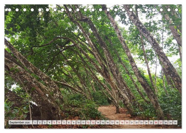Produktbild: Costa Rica - Lebensfreude pur (Tischkalender 2026 DIN A5 quer), CALVENDO Monatskalender