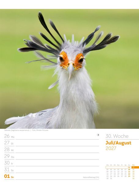 Produktbild: V&ouml;gel Wochenplaner Kalender 2027
