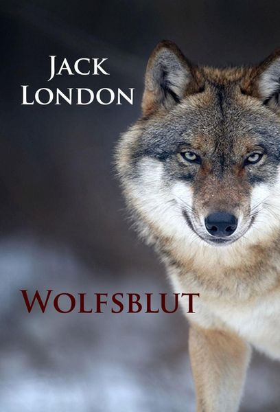 Produktbild: Wolfsblut