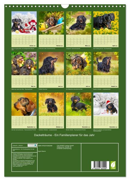 Produktbild: Dackeltr&auml;ume - Ein Familienplaner f&uuml;r das Jahr (Wandkalender 2026 DIN A3 hoch), CALVENDO Monatskalender