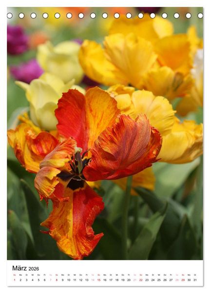 Produktbild: Ein Jahr voller Blumen (Tischkalender 2026 DIN A5 hoch), CALVENDO Monatskalender
