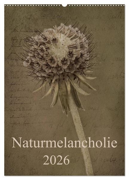 Naturmelancholie 2026 (Wandkalender 2026 DIN A2 hoch), CALVENDO Monatskalender
