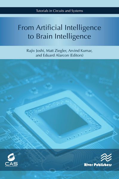 Produktbild: From Artificial Intelligence to Brain Intelligence