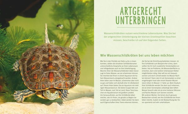 Wasserschildkröten