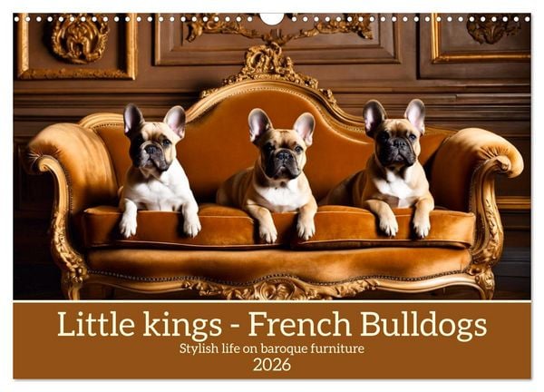 Produktbild: Little kings - French Bulldogs (Wall Calendar 2026 DIN A3 landscape), CALVENDO 12 Month Wall Calendar