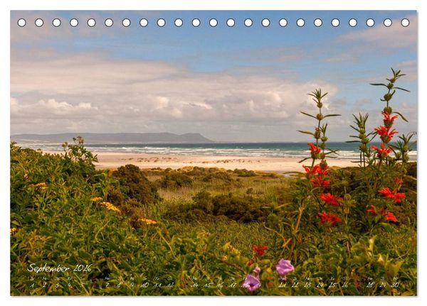 Produktbild: Am Kap von S&uuml;dafrika (Tischkalender 2026 DIN A5 quer), CALVENDO Monatskalender