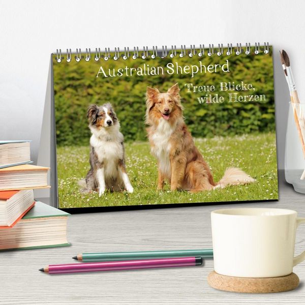 Produktbild: Australian Shepherd - Treue Blicke, wilde Herzen (Tischkalender 2027 DIN A5 quer), CALVENDO Monatskalender