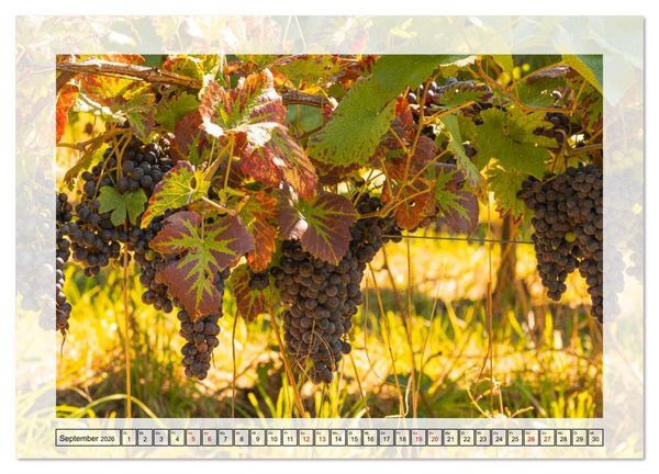 Produktbild: Jeden Monat in der Natur (Wandkalender 2026 DIN A2 quer), CALVENDO Monatskalender