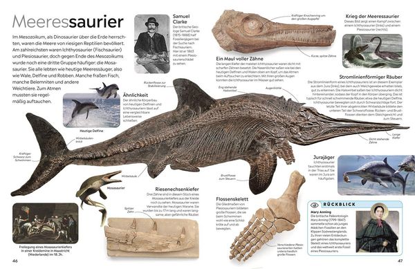 Produktbild: Memo Wissen. Fossilien