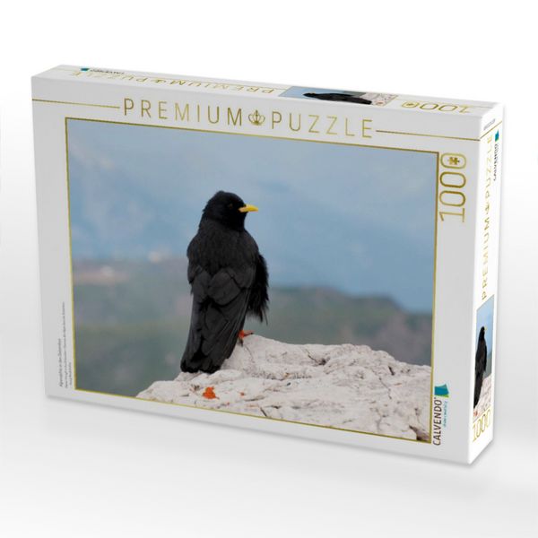 Produktbild: CALVENDO Puzzle Alpendohle in den Dolomiten | 1000 Teile Lege-Gr&ouml;&szlig;e 64x48cm Foto-Puzzle f&uuml;r gl&uuml;ckliche Stunden
