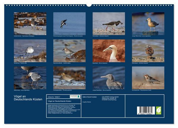 Produktbild: V&ouml;gel an Deutschlands K&uuml;sten (hochwertiger Premium Wandkalender 2026 DIN A2 quer), Kunstdruck in Hochglanz