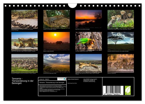 Produktbild: Tansania - Tierwanderung in der Serengeti (Wandkalender 2026 DIN A4 quer), CALVENDO Monatskalender