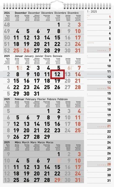 Rido/idé 7033430005 4-Monatskalender (2025)| 1 Blatt = 4 Monate| 300 × 490 mm