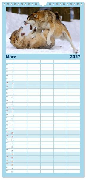 Produktbild: Familienplaner 2027 - Kanadische W&ouml;lfe im Winter mit 5 Spalten (Wandkalender, 21 x 45 cm) CALVENDO