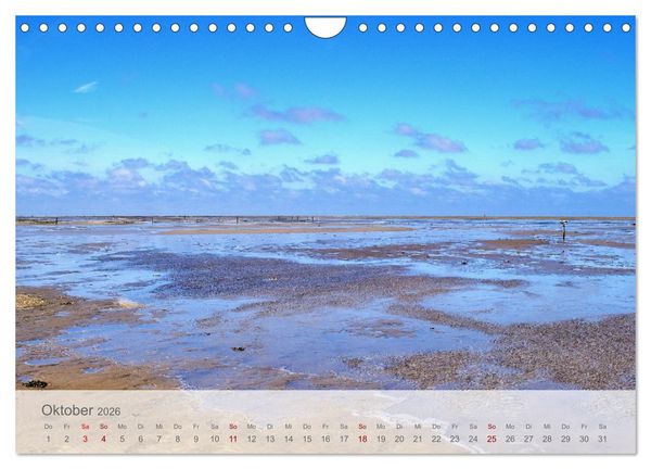 Produktbild: Salzwiesen, Schafe und Watt - Westerhever, ein Naturparadies an der Nordsee (Wandkalender 2026 DIN A4 quer), CALVENDO Monatskalender