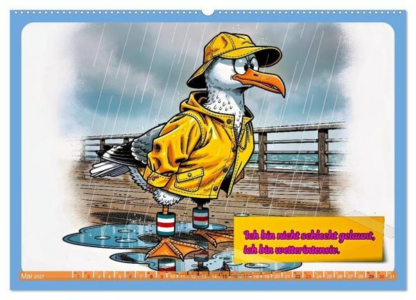 Produktbild: Lustige M&ouml;wen von der K&uuml;ste (hochwertiger Premium Wandkalender 2027 DIN A2 quer), Kunstdruck in Hochglanz
