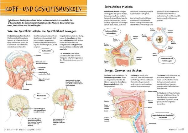 Produktbild: Die Anatomie des Menschlichen K&ouml;rpers