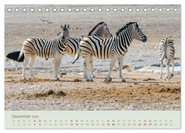 Produktbild: Zebras in Afrika (Tischkalender 2026 DIN A5 quer), CALVENDO Monatskalender