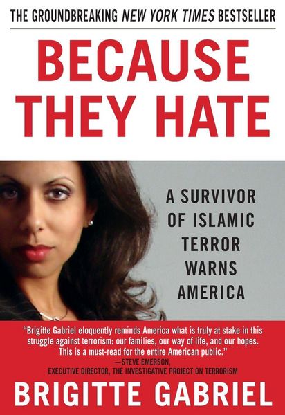 Produktbild: Because They Hate