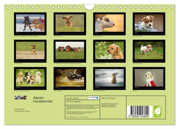 Produktbild: Allerlei Hundekinder (Wandkalender 2027 DIN A4 quer), CALVENDO Monatskalender