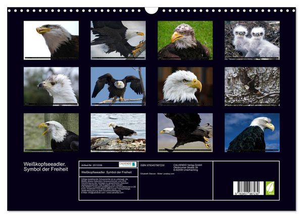 Produktbild: Wei&szlig;kopfseeadler. Symbol der Freiheit (Wandkalender 2026 DIN A3 quer), CALVENDO Monatskalender