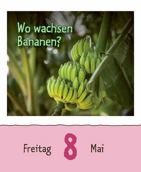 Produktbild: Warum wackelt Wackelpudding? 2026
