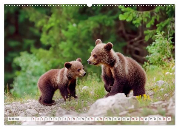 Produktbild: TIERKINDER Abenteuer Wildnis (Wandkalender 2026 DIN A2 quer), CALVENDO Monatskalender